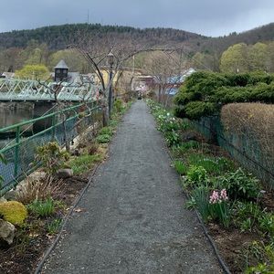 Meet your Posher, Elise